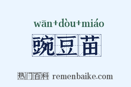 豌豆苗是什么意思的图片